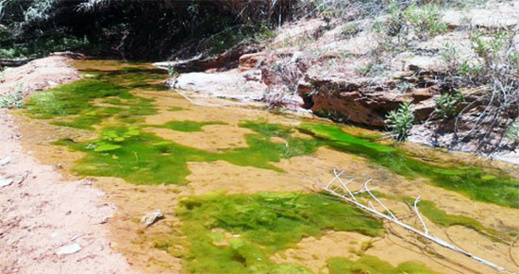 الدريوش.. مداشر لعسارة تتمرغ في أوحال التهميش والمجلس الجماعي المنتخب مطالب بتكريس التنمية المنشودة الدريوش.. مداشر لعسارة تتمرغ في أوحال التهميش والمجلس الجماعي المنتخب مطالب بتكريس التنمية المنشودة