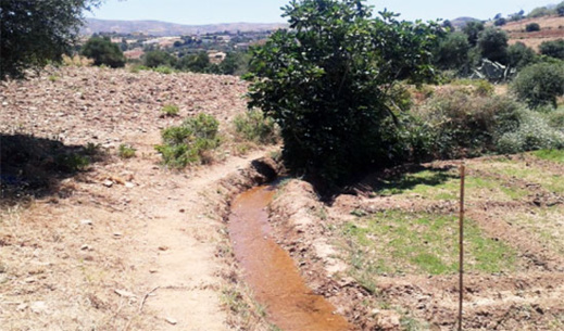 الدريوش.. مداشر لعسارة تتمرغ في أوحال التهميش والمجلس الجماعي المنتخب مطالب بتكريس التنمية المنشودة الدريوش.. مداشر لعسارة تتمرغ في أوحال التهميش والمجلس الجماعي المنتخب مطالب بتكريس التنمية المنشودة