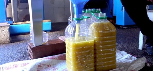 الحكومة تتخذ قرارا جديدا لخفض أسعار زيت الزيتون في الأسواق الحكومة تتخذ قرارا جديدا لخفض أسعار زيت الزيتون في الأسواق