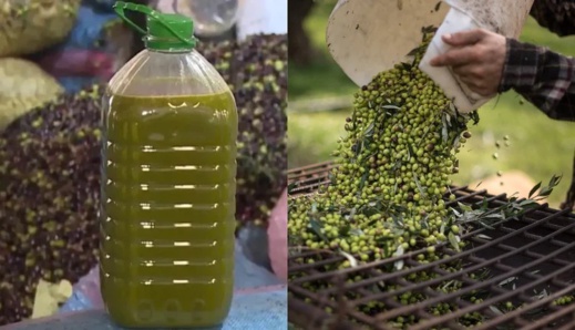 وزير الفلاحة يعلن عن إجراءات جديدة لضبط أسعار زيت الزيتون وزير الفلاحة يعلن عن إجراءات جديدة لضبط أسعار زيت الزيتون