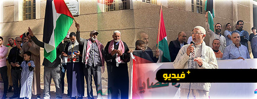 ساكنة الناظور تتضامن مع غزة وتندد بالعدوان الإسرائيلي على الفلسطينيين ساكنة الناظور تتضامن مع غزة وتندد بالعدوان الإسرائيلي على الفلسطينيين