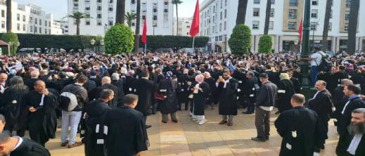 بعد 10 أيام من الإضراب.. المحامون يوقعون اتفاقا مع وزارة العدل لاستئناف العمل بعد 10 أيام من الإضراب.. المحامون يوقعون اتفاقا مع وزارة العدل لاستئناف العمل