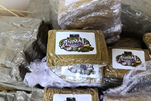 الشرطة القضائية تباغت شبكة مخدرات وتحبط إحدى أكبر عمليات ترويج الشيرا الشرطة القضائية تباغت شبكة مخدرات وتحبط إحدى أكبر عمليات ترويج الشيرا