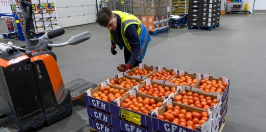 السلطات الفرنسية تحذر من بقايا مبيدات في الطماطم المغربية السلطات الفرنسية تحذر من بقايا مبيدات في الطماطم المغربية