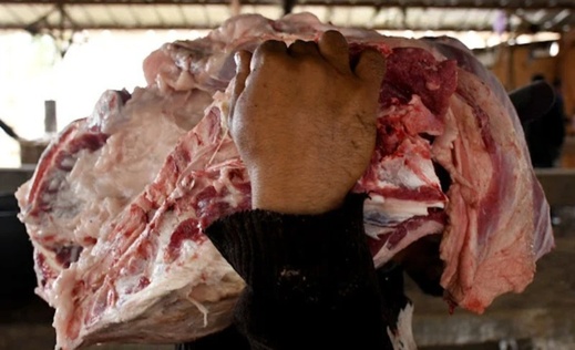 توقيف مهاجر مغربي حاول إدخال كمية من اللحوم الحمراء المجمدة من إسبانيا توقيف مهاجر مغربي حاول إدخال كمية من اللحوم الحمراء المجمدة من إسبانيا