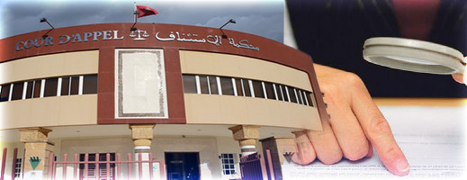 محكمة الاستئناف بالناظور تبت في إحدى أكبر قضايا الاستيلاء على عقارات الغير بالمغرب محكمة الاستئناف بالناظور تبت في إحدى أكبر قضايا الاستيلاء على عقارات الغير بالمغرب