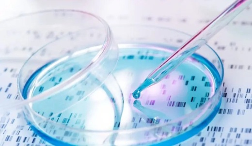 حقوقي لناظور سيتي: تجاهل اعتماد ال ADN لإثبات النسب انتهاك لحقوق فئة مهمة من الأطفال حقوقي لناظور سيتي: تجاهل اعتماد ال ADN لإثبات النسب انتهاك لحقوق فئة مهمة من الأطفال