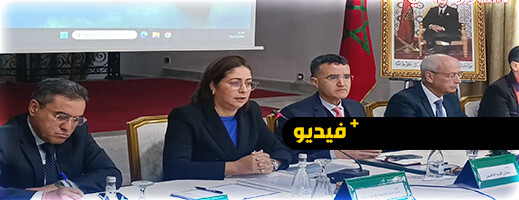 بوطالب تعد بتسريع مشاريع مارتشيكا وتعلن عن طلبات عروض لاستثمار 18 هكتارا بوطالب تعد بتسريع مشاريع مارتشيكا وتعلن عن طلبات عروض لاستثمار 18 هكتارا