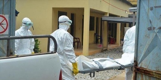 ظهرو فيروس جديد في الصين يثير القلق حول العالم ظهرو فيروس جديد في الصين يثير القلق حول العالم