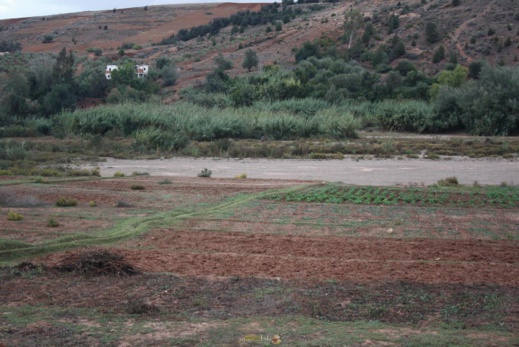 فلاحون بالريف لناظورسيتي: إنحباس السماء ينذر بموسم فلاحي ضعيف هذه السنة فلاحون بالريف لناظورسيتي: إنحباس السماء ينذر بموسم فلاحي ضعيف هذه السنة