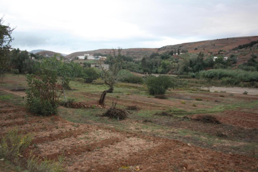 فلاحون بالريف لناظورسيتي: إنحباس السماء ينذر بموسم فلاحي ضعيف هذه السنة فلاحون بالريف لناظورسيتي: إنحباس السماء ينذر بموسم فلاحي ضعيف هذه السنة