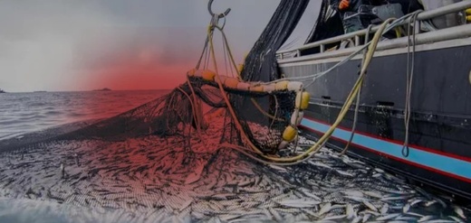 الحرس المدني الإسباني يصادر قارب صيد مغربي الحرس المدني الإسباني يصادر قارب صيد مغربي