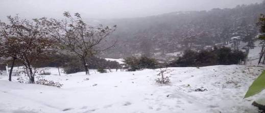 تعليق الدراسة في عدة جماعات بإقليم الحسيمة بسبب الأحوال الجوية تعليق الدراسة في عدة جماعات بإقليم الحسيمة بسبب الأحوال الجوية