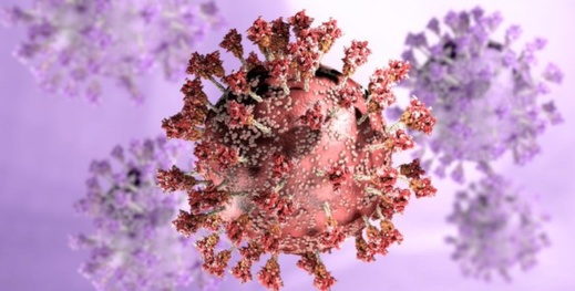 ماحقيقة فيروس الصين الجديد الذي أثار الفزع حول العالم؟ ماحقيقة فيروس الصين الجديد الذي أثار الفزع حول العالم؟