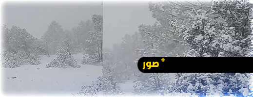 الزائر الأبيض يزين جبال شقران ومرتفعات الريف الزائر الأبيض يزين جبال شقران ومرتفعات الريف
