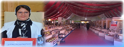 بهدف تعزيز التنمية المحلية.. الناظور مع موعد معرض متنقل للاقتصاد الاجتماعي والتضامني بهدف تعزيز التنمية المحلية.. الناظور مع موعد معرض متنقل للاقتصاد الاجتماعي والتضامني