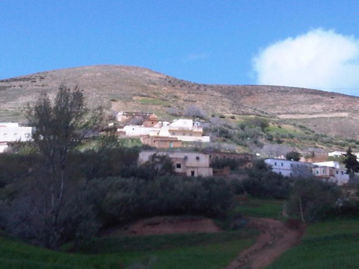 فلاحون يشتكون من عودة الخنزير البري لإتلاف مغروساتهم بجماعة إفرني‎