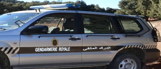 توقيف شخص مبحوث عنه بسبع مذكرات بحث في زايو توقيف شخص مبحوث عنه بسبع مذكرات بحث في زايو