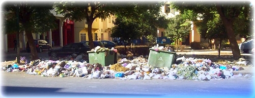 العثور على جمجمتي حمارين يثير استنفار السلطات المحلية والأمنية العثور على جمجمتي حمارين يثير استنفار السلطات المحلية والأمنية