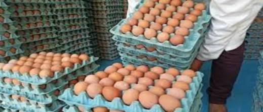 المنتجون يلتزمون بتوفير البيض بأسعار معقولة خلال رمضان المنتجون يلتزمون بتوفير البيض بأسعار معقولة خلال رمضان