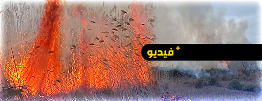 للمرة الثانية في أقل من أسبوع.. اندلاع حريق بمدخل جماعة قرية أركمان للمرة الثانية في أقل من أسبوع.. اندلاع حريق بمدخل جماعة قرية أركمان