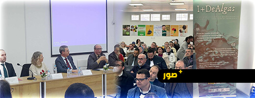 افتتاح مشروع I+DEALGAS مع تعاونية المستقبل للطحالب البحرية بدعم وشراكة مع ؤسسة نساء من أجل إفريقيا افتتاح مشروع I+DEALGAS مع تعاونية المستقبل للطحالب البحرية بدعم وشراكة مع ؤسسة نساء من أجل إفريقيا