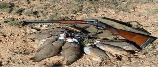 غموض يلف قضية غموض يلف قضية