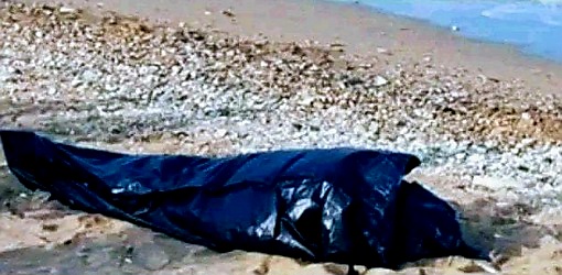 جثة متحللة تستنفر السلطات المحلية والأمنية بسواحل الحسيمة جثة متحللة تستنفر السلطات المحلية والأمنية بسواحل الحسيمة
