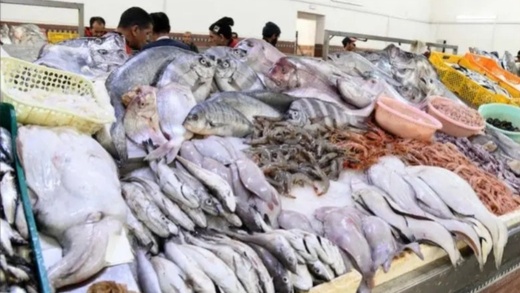 انطلاق مبادرة "الحوت بثمن معقول" لتخفيض أسعار السمك في رمضان انطلاق مبادرة "الحوت بثمن معقول" لتخفيض أسعار السمك في رمضان