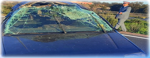 استنفار أمني وطبي بعد تعرض مسؤولين جزائريين لحادثة سير وسط الطريق السيار استنفار أمني وطبي بعد تعرض مسؤولين جزائريين لحادثة سير وسط الطريق السيار