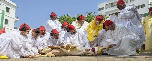 الملك محمد السادس يهيب بالمغاربة عدم إقامة شعيرة ذبح أضحية العيد هذه السنة الملك محمد السادس يهيب بالمغاربة عدم إقامة شعيرة ذبح أضحية العيد هذه السنة