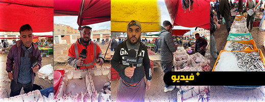 مهنيون يكشفون أسباب إرتفاع أسعار الأسماك بإقليم الناظور و مهنيون يكشفون أسباب إرتفاع أسعار الأسماك بإقليم الناظور و