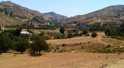 الدريوش.. ساكنة جبال لعسارة تتمرغ في أوحال التهميش والإقصاء على مستويات عدة الدريوش.. ساكنة جبال لعسارة تتمرغ في أوحال التهميش والإقصاء على مستويات عدة