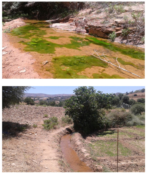 الدريوش.. ساكنة جبال لعسارة تتمرغ في أوحال التهميش والإقصاء على مستويات عدة الدريوش.. ساكنة جبال لعسارة تتمرغ في أوحال التهميش والإقصاء على مستويات عدة