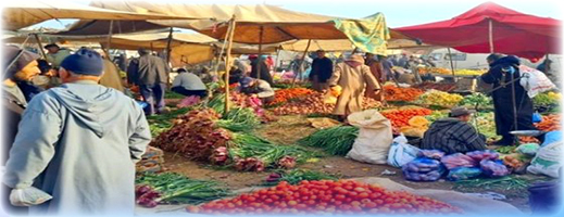 أسعار الخضر تواصل الارتفاع في شهر رمضان.. الفلفل يتجاوز 16 درهما والطماطم تستقر في 10 دراهم أسعار الخضر تواصل الارتفاع في شهر رمضان.. الفلفل يتجاوز 16 درهما والطماطم تستقر في 10 دراهم