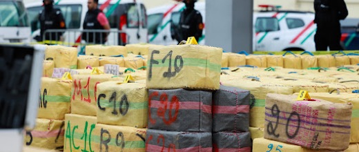 إحباط عملية تهريب حوالي 6 أطنان من الحشيش واعتقال سيدة خلال العملية إحباط عملية تهريب حوالي 6 أطنان من الحشيش واعتقال سيدة خلال العملية