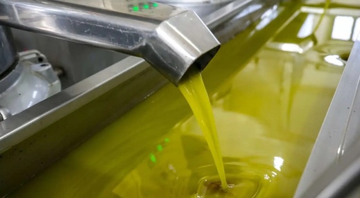 في ظل ارتفاع أسعاره محليا.. زيت الزيتون المغربي يهيمن على الأسواق الأوروبية في ظل ارتفاع أسعاره محليا.. زيت الزيتون المغربي يهيمن على الأسواق الأوروبية