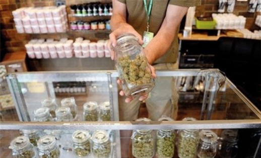 قانون جديد يضع حدا لبيع الحشيش في المقاهي بهولندا قانون جديد يضع حدا لبيع الحشيش في المقاهي بهولندا