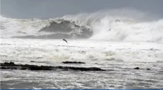 رياح قوية وأمواج عاتية تجتاح سواحل المملكة اعتبارا من الإثنين رياح قوية وأمواج عاتية تجتاح سواحل المملكة اعتبارا من الإثنين