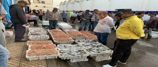 من الناظور إلى الداخلة.. عضو في كونفيدرالية البحارة يكشف عن التلاعب بأسعار السمك من الناظور إلى الداخلة.. عضو في كونفيدرالية البحارة يكشف عن التلاعب بأسعار السمك