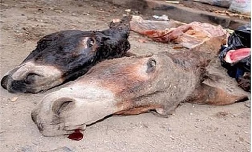 أرشيف أرشيف