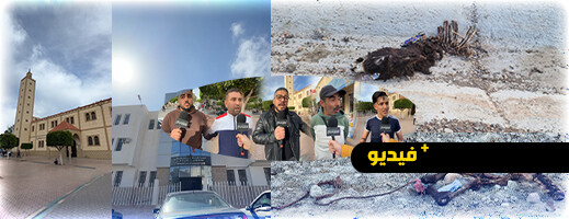 ساكنة أزغنغان تستنكر لا مبالاة الجهات المسؤولة وتطالب بتوضيحات بشأن العثور على بقايا حمار مسلوخ ساكنة أزغنغان تستنكر لا مبالاة الجهات المسؤولة وتطالب بتوضيحات بشأن العثور على بقايا حمار مسلوخ