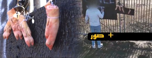 إشعال النار وأقدام خنازير ورسائل كراهية ضد اللاجئين في هولندا إشعال النار وأقدام خنازير ورسائل كراهية ضد اللاجئين في هولندا