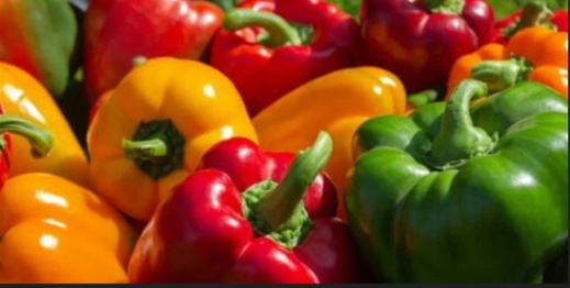 ألمانيا تقرر سحب الفلفل المغربي من أسواقها ألمانيا تقرر سحب الفلفل المغربي من أسواقها