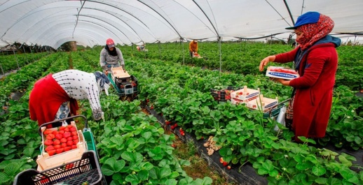 براتب يصل إلى 20 ألف درههم.. فرنسا توفر عروض عمل للمغاربة براتب يصل إلى 20 ألف درههم.. فرنسا توفر عروض عمل للمغاربة