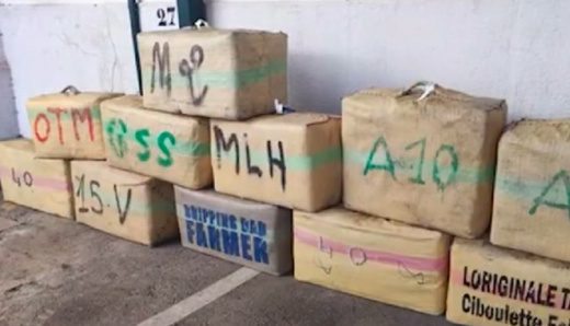 الحرس المدني الإسباني يفكك شبكة لتهريب الحشيش من المغرب عبر نهر الوادي الكبير ويعتقل 23 شخصًا الحرس المدني الإسباني يفكك شبكة لتهريب الحشيش من المغرب عبر نهر الوادي الكبير ويعتقل 23 شخصًا