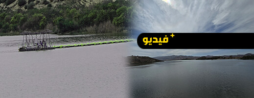87627113-62138956.jpg?v=1743609330