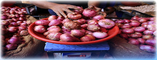 ارتفاع صاروخي في أسعار البصل.. وأصابع الاتهام تتجه نحو المحتكرين ارتفاع صاروخي في أسعار البصل.. وأصابع الاتهام تتجه نحو المحتكرين