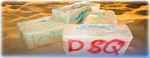 إحباط عملية للتهريب الدولي للمخدرات واعتقال إسباني في القضية بالحسيمة إحباط عملية للتهريب الدولي للمخدرات واعتقال إسباني في القضية بالحسيمة