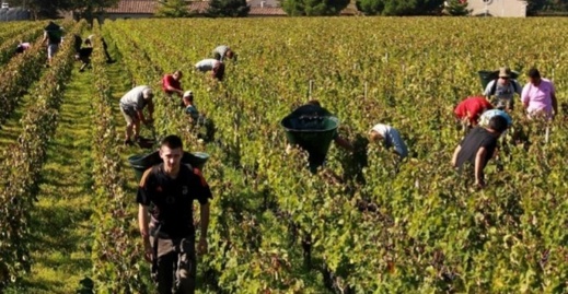 العمال الموسميون يرفعون حالات الإصابة ببوحمرون بإسبانيا العمال الموسميون يرفعون حالات الإصابة ببوحمرون بإسبانيا